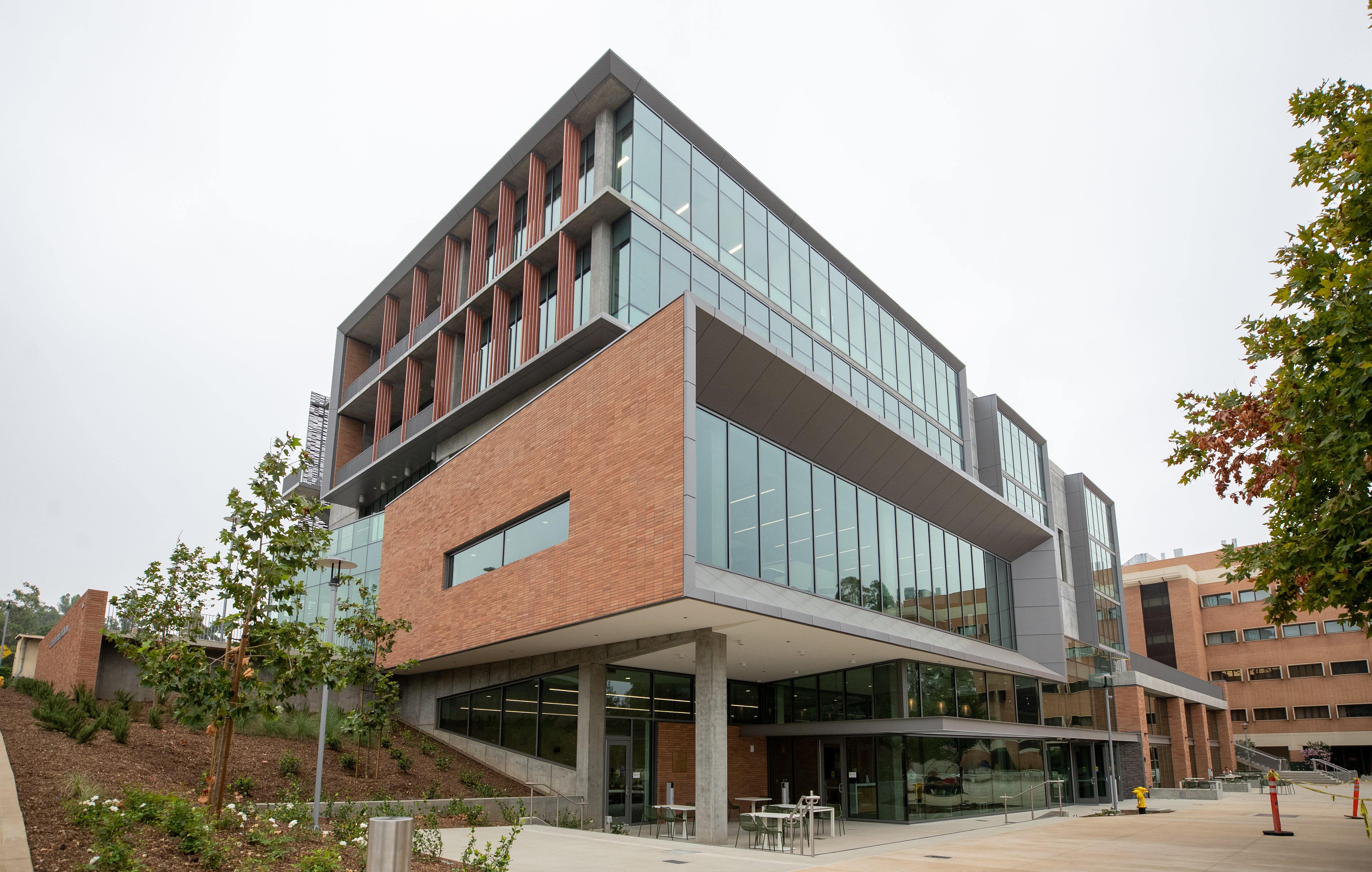 School of Medicine Education Building II