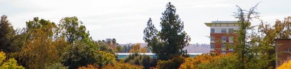 Humanities tower showing in the background with trees that have yellow and red leaves.