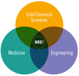 MRB1 research areas